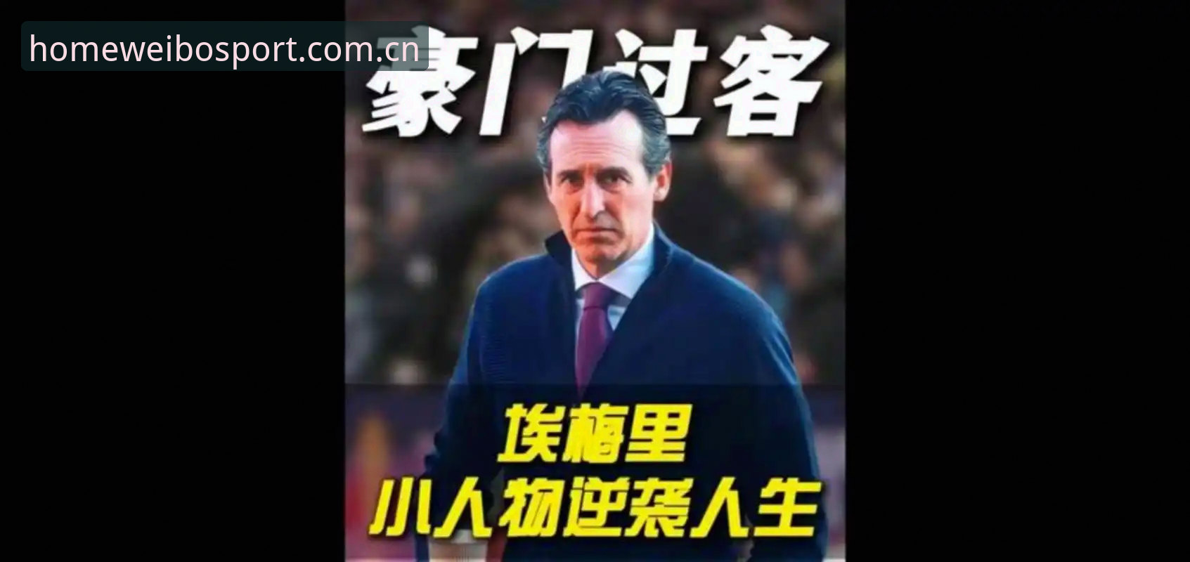 伟博体育平台手机版 欧联杯冠军解析教程——如何通过伟博体育平台手机版看懂埃梅里的“欧联杯之王”进化史